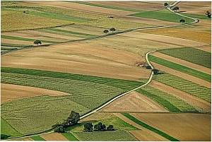 Емфітевзис