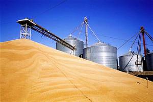 З 07.12.2019 р. ДП «Держреєстри України» запровадило нову послугу веб-перегляду інформації щодо обсягів зерна, яке зберігається по всій Україні.