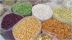 У 2019 р. в Україні намолочено 74,7 млн. тонн зерна